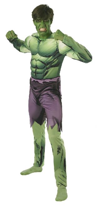 The Avengers Incredible Hulk Adult Costumes | The Avengers Incredible ...